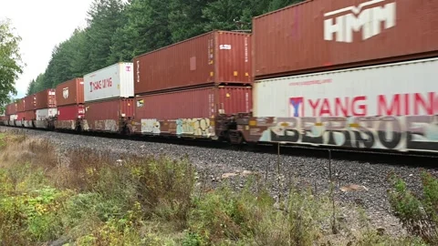 6472Long Freight Train With Stacked Shipping Containers On Rails Through Foreste Stock Footage 319716727