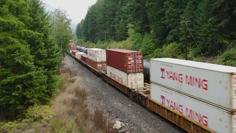 6475Long Freight Train With Stacked Shipping Containers On Rails Through Foreste Stock Footage 319716702