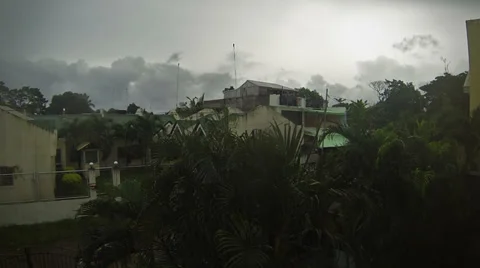 66 Trees and palms bending while typhoon Haiyan (Yolanda). Stock Footage