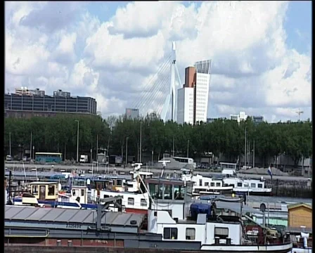 67 Erasmusbridge Rotterdam Stock Footage 371315