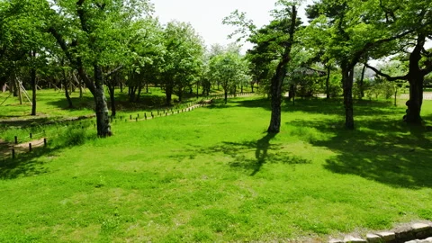 67. Silent Korea's Tree-filled Park Drone Video Stockbeeldmateriaal 303786086