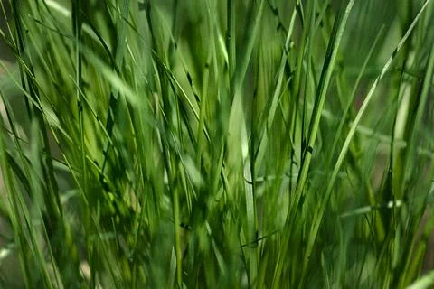 6767 Fotos de archivo