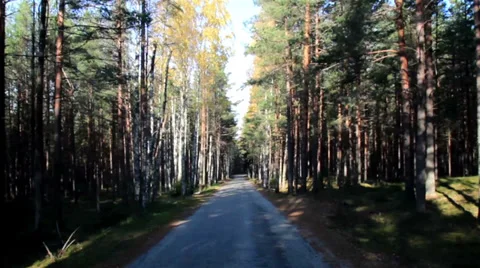 689 passing the forrest full of trees  Stock Footage 32539660