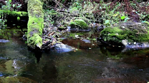 694 closer view of the flowing stream Stock Footage 32539814