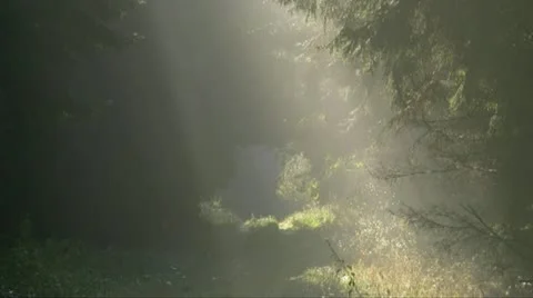 69.m2ts Видео 12405672