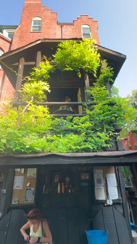 6BC Botanical Garden located in a quiet residential neighborhood in East Village Video stock 345618075