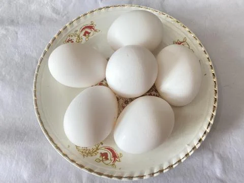 6egg in one plat Stock Photos