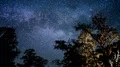 6K Bristlecone Pine and Milky Way Galaxy Time Lapse Stars 4k or 4k+ Resolution
