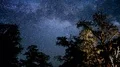 6K Bristlecone Pine Milky Way Galaxy Time Lapse Stars 4k or 4k+ Resolution