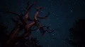 6K Bristlecone Pine Tree and Milky Way Galaxy Time Lapse Stars 4k or 4k+ Resolution