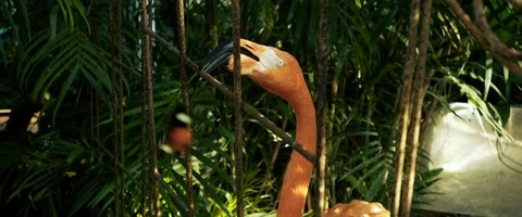 6K - Up Close of a Flamingos Head Through a Fence Stock Footage 125992658