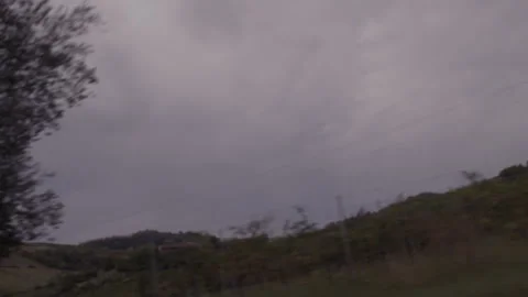 6K Driving Shot Through Tree-Lined Road &amp; Vineyards Italy Part 1 Stock Footage 345327691