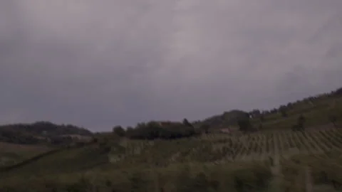 6K Driving Shot Through Tree-Lined Road &amp; Vineyards Italy Part 2 Stock Footage 345327728