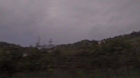6K Driving Shot Through Tree-Lined Road &amp; Vineyards Italy Part 3 Stock Footage 345336257