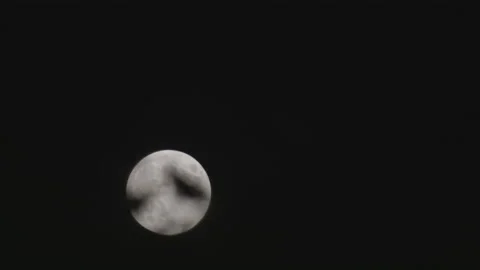 6K Moon Tree Close Up Stock Footage 132875798