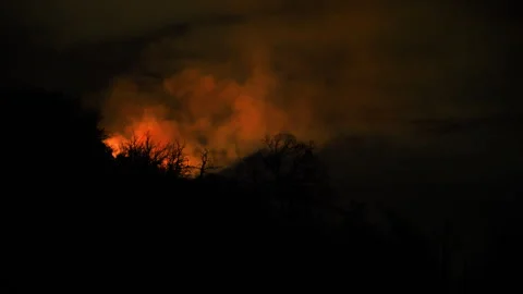 6K Night Fire Behind Trees: Floating Embers &amp; Smoke (ProRes 422) Stock Footage 321714865