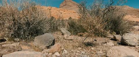 6K - Red Rock Canyon Turtle Head Peak Stock Footage 126473168