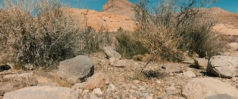 6K - Red Rock Canyon Turtle Head Peak Stock Footage 126474387