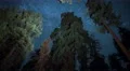 6K Sequoia Milky Way 05 Grant Grove Kings Canyon 4k or 4k+ Resolution