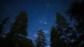 6K Stars in Alpine Forest 4k or 4k+ Resolution
