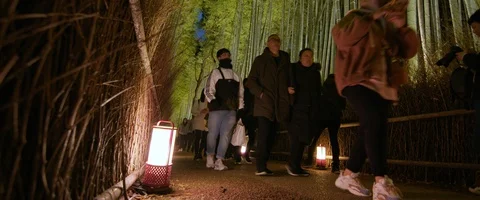 6K - Timelapse of Arashiyama Bamboo Forest  in Kyoto, Japan Stock Footage 122120798