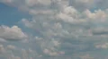 6x Aero Vodochody L-39C Albatros airshow HD Footage