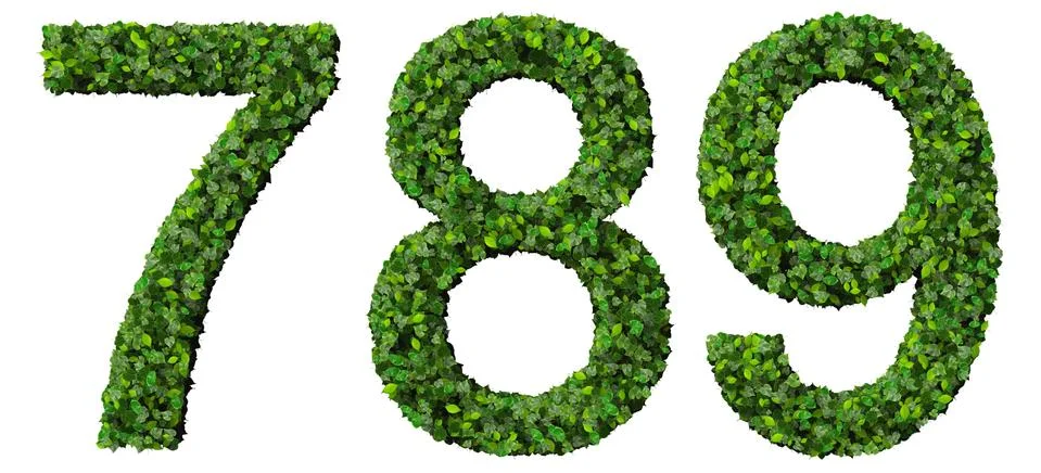 7 8 9 digits made from green leaves isolated on white background. Stock Illustration