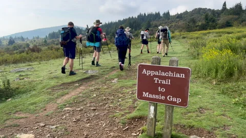 7 Backpackers Hike Through Grayson Highlands on Appalachian Trail, VA - Summer Stock Footage 221789295