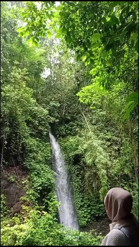 7 Bidadari Waterfalls in East Java, Indonesia, Jember City Vídeos de archivo 272185700