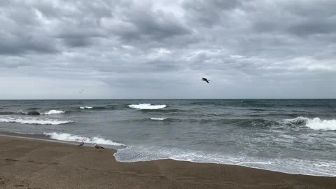 7 sea Stock Footage 305051948