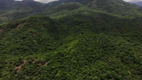 7 VARIOS Stock Footage 136203869