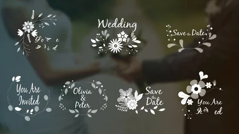 7 Wedding ornaments with flowers Stock After Effects