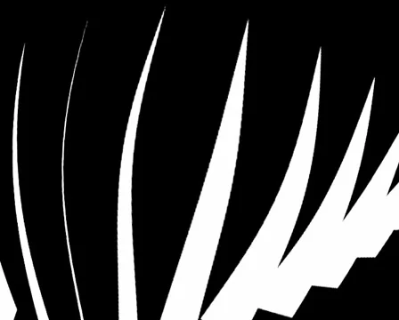 71d Stock Footage 5903183