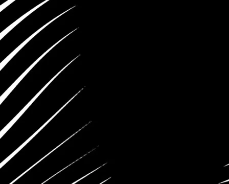 72 Stock Footage 5903182