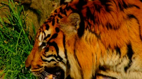 720p 2 Stock Footage 696949