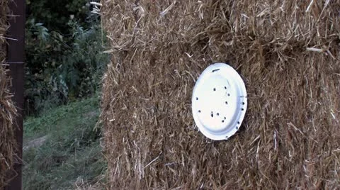 720p Archery 22 Stock-Footage 12355615