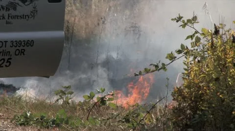 720p Controlled Burn 10 Stock Footage 12379722