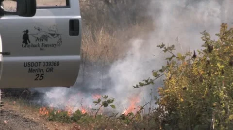 720p Controlled Burn 12 Stock Footage 12379738