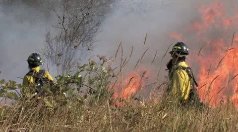 720p Controlled Burn 16 Stock Footage 12379778