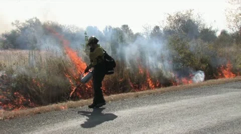 720p Controlled Burn 27 스톡 동영상 12385462