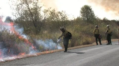 720p Controlled Burn 28 Video stock 12385506