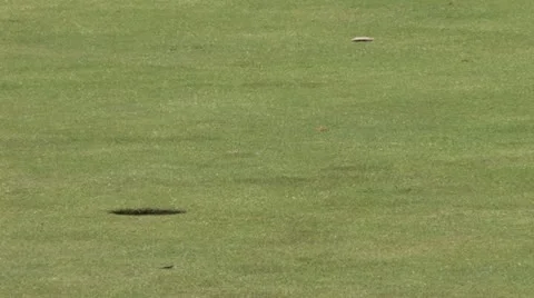 720p Golfing 42 스톡 동영상 11332908