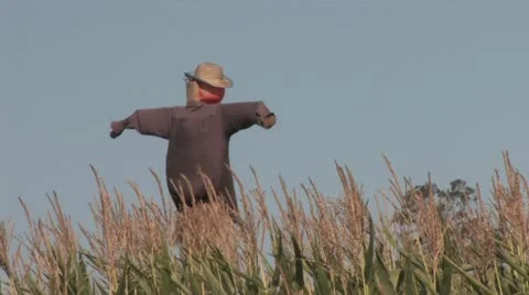 720p Scarecrow 스톡 동영상 12374237