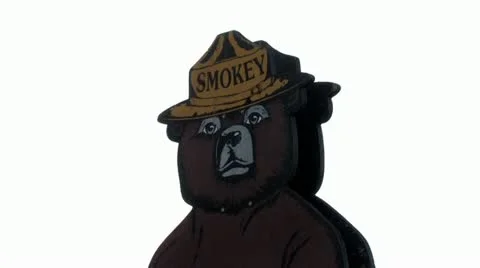 720p Smokey the Bear 3 Stock Footage 11400284