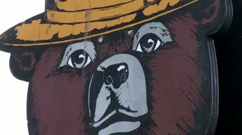 720p Smokey the Bear 4 Stock Footage 11400293