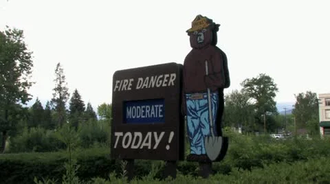 720p Smokey the Bear Stock Footage 11400306