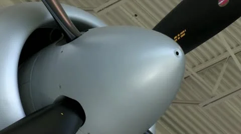 720p Spruce Goose 5 스톡 동영상 12681265