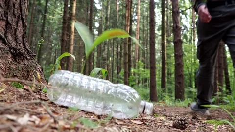7212204 Dumping plastic bottle in the forest Stock Footage 157679935