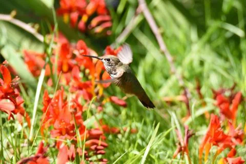 72D 3880 Stock Photos