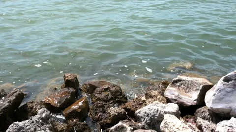 7358RocksWaterFSpeed Stock-Footage 345360865